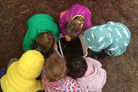 Preschoolers exploring a bucket of pond muck