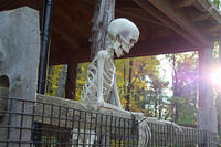 A skeleton looks on from a fence at Drumlin Farm's Tales of the Night