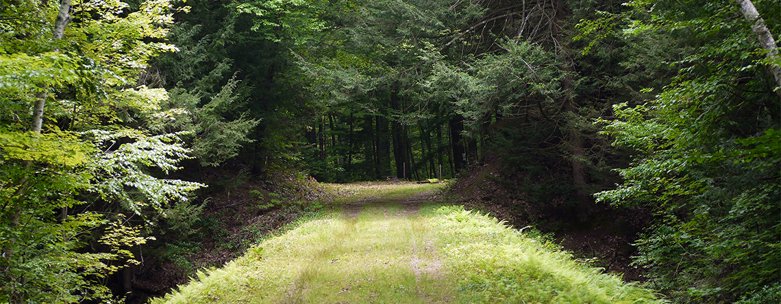 Trail at Eagle Lake Wildlife Sanctuary