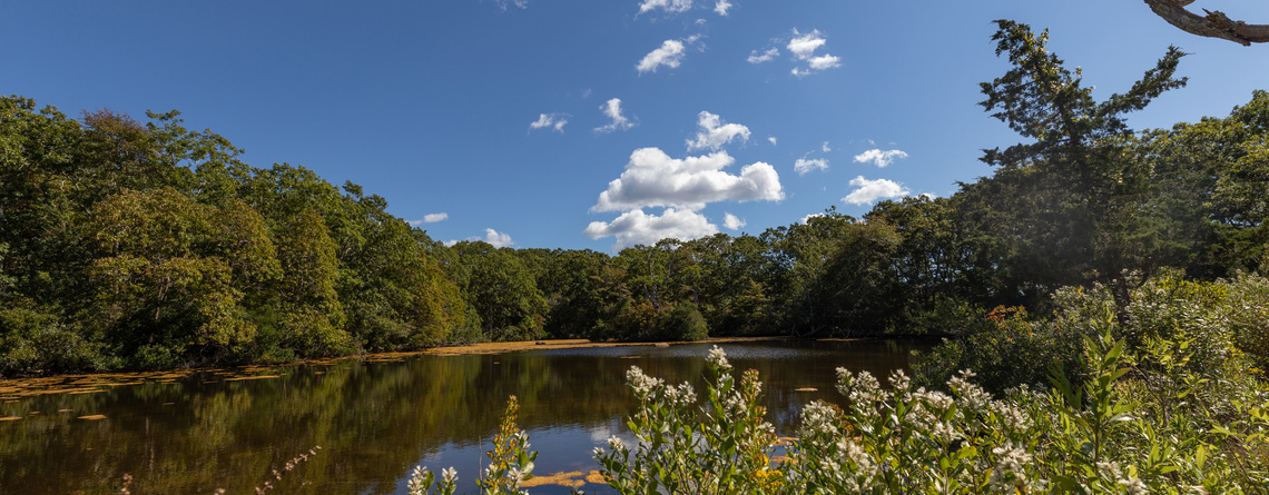 View from a kayak at Felix Neck © Kristin Foresto