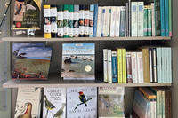 Shelves of books at the Felix Neck Shop