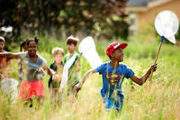 Campers with nets in meadow