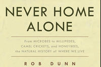 "Never Home Alone" cover © Basic Books