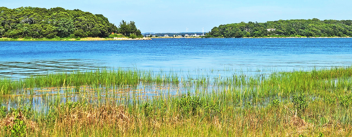 View across the salt marsh in summer at Great Neck Wildlife Sanctuary