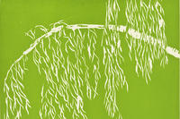 "Willow" woodcut © Ellen Stutman