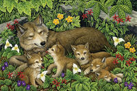 "Wolf Cubs" illustration © Carol Schwartz