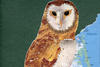 Barn Owl collage artwork © Laurie Bogdan
