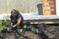 Woman Gardening