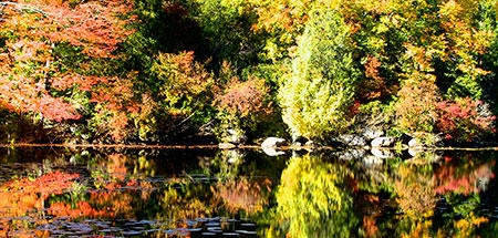 Rockery pond at Ipswich River Wildlife Sanctuary in fall © Fred Goodwin