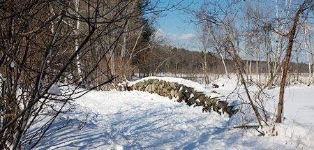 Stone bridge in winter © Susan J. Grimwood