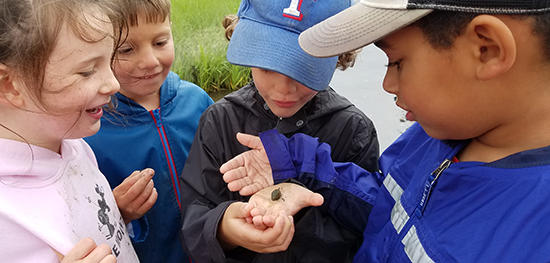 Kids inspecting a nature find