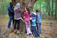 Kids hugging a big tree at Ipswich River
