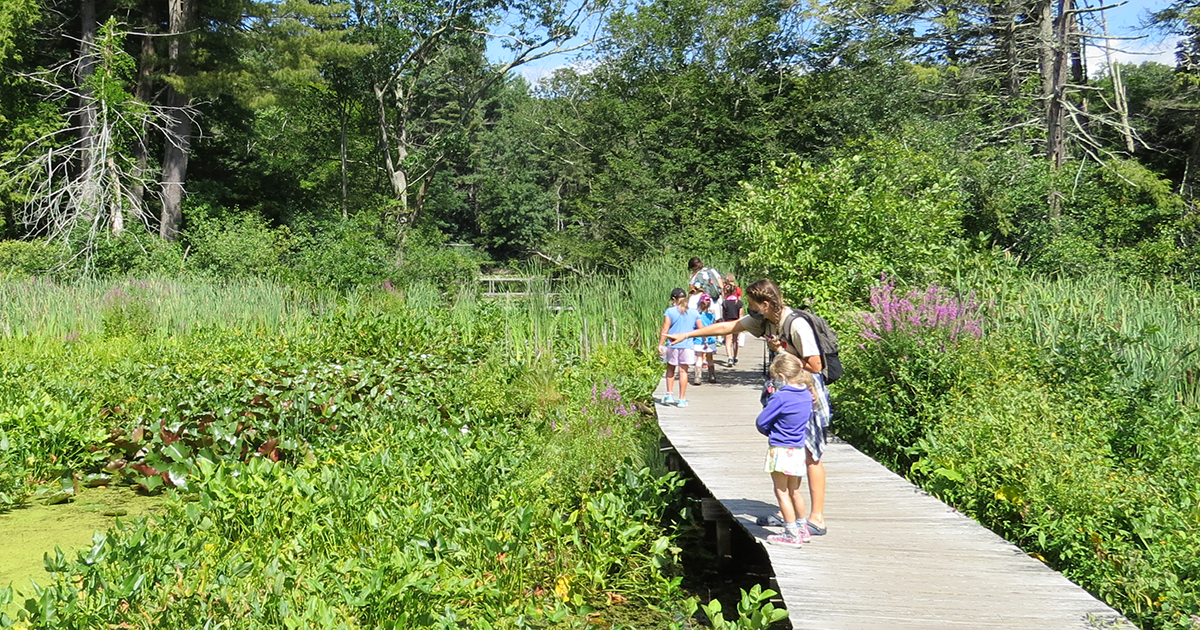 Ipswich River Summer Camp 2021