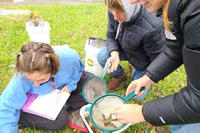 Students from the Waring School counting fish for the Salt Marsh Science Project