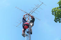 The new Motus radio receiving tower at Ipswich River Wildlife Sanctuary