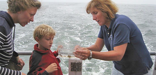 Learning about marine life up-close with a Joppa Flats naturalist on an aquatic cruise