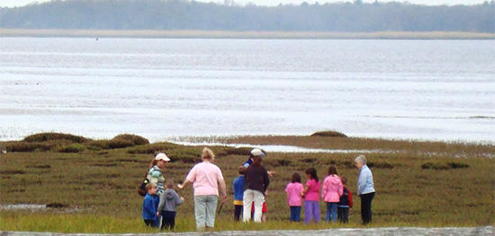 Group exploring the salt marsh © Camilla Galluzzo