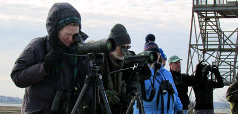 winter birders at Joppa Flats