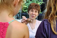 A Joppa Flats education volunteer showing a Jonah Crab to visitors