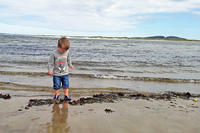Small boy exploring the shoreline at Joppa Flats Education Center in summer © Jana Gauthier