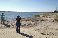 Two birders spread out from each other on a beach
