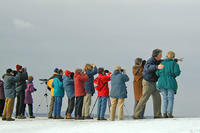 Former Sanctuary Director Bill Gette with winter birding group