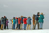 Former Sanctuary Director Bill Gette with winter birding group