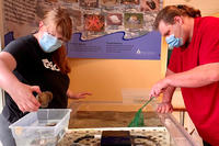 Joppa Flats vocational interns Erin & Katie checking the health of our marine tank animals