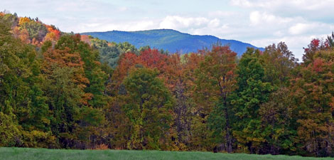 Mass Audubon Lime Kiln Farm Wildlife Sanctuary © Richard Johnson