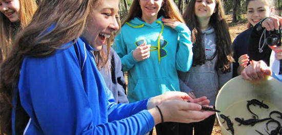Student holding salamanders at a Living Lab Wetland