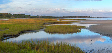 The marsh at Long Pasture Wildlife Sanctuary