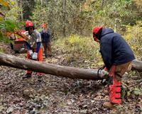 Cape Sanctuaries Tackle Major Clean-up after October Nor'easter