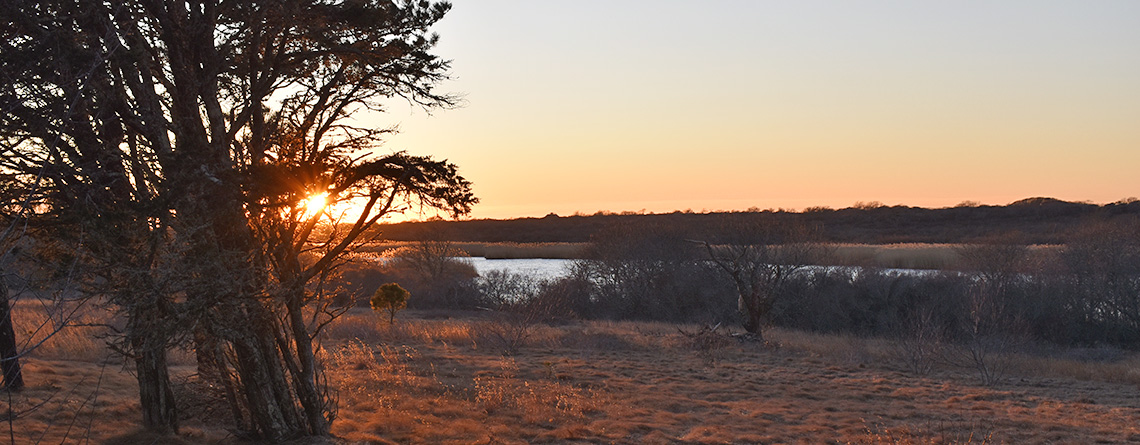 Hummock Pond sunset at Lost Farm Wildlife Sanctuary