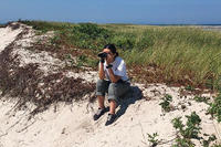 YES intern Sarah Swenson monitoring shorebirds on a Nantucket beach
