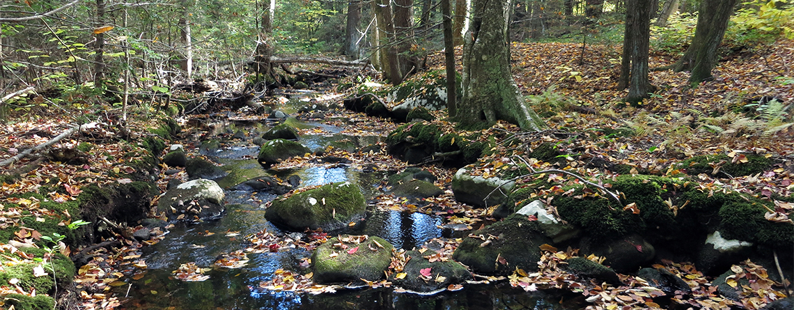 Lyman Brook at Lynes Woods Wildlife Sanctuary