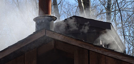 Steam rising from sugar shack at Moose Hill Wildlife Sanctuary