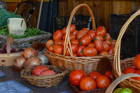 Organic tomatoes, onions, & other veggies grown at Moose Hill Wildlife Sanctuary