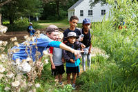 Counselor pointing out mantid to Moose Hill campers