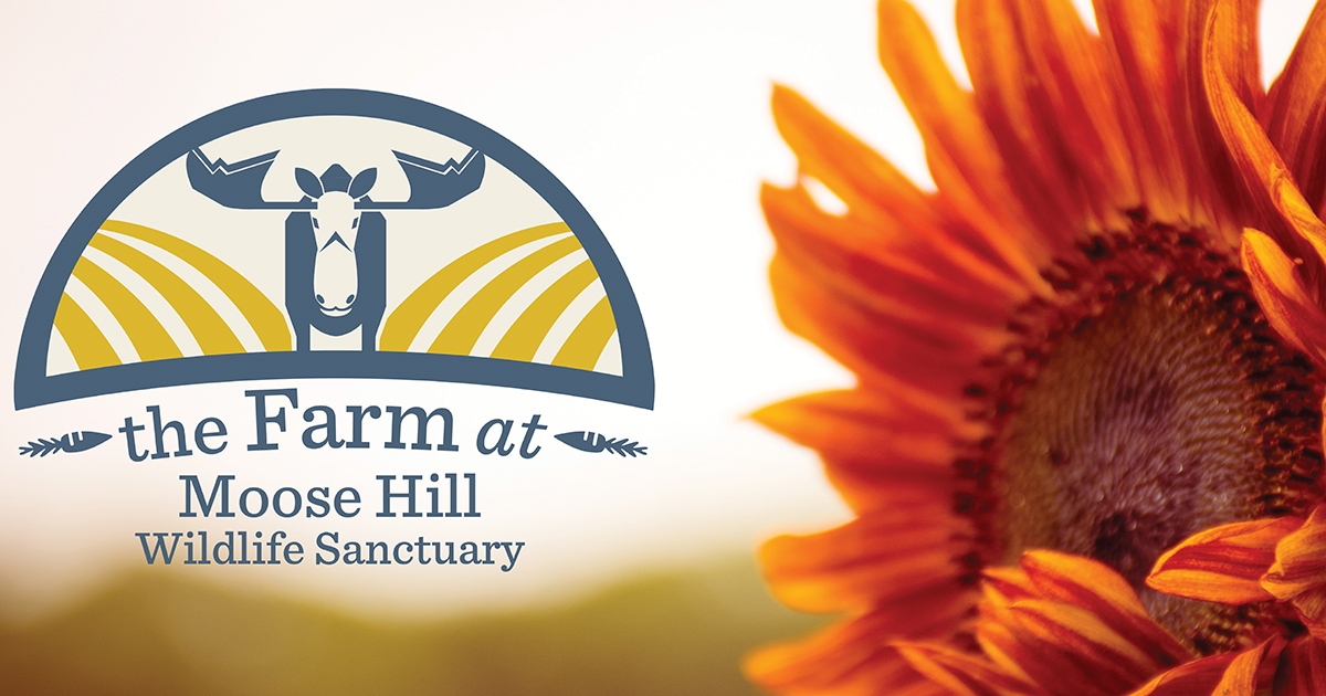 The Farm at Moose Hill