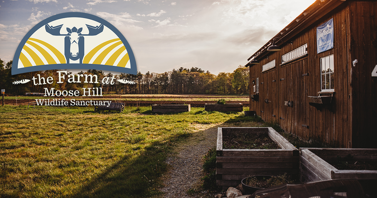 The Farm at Moose Hill—Frequently Asked Questions