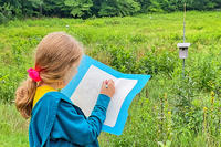 MABA camper practicing field sketches in the meadow