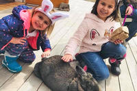 Two girls petting a large rabbit during Oak Knoll's annual Egg Hunt