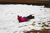 Snowy fun during February Vacation at Oak Knol Wildlife Sanctuary