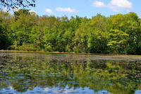 Reflection in Lake Talaquega