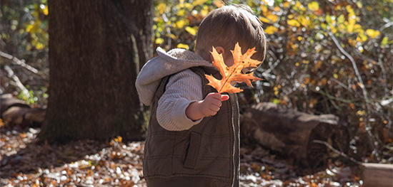 Nature Play in autumn © Mary Whitty