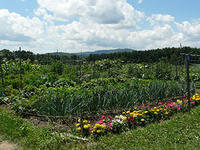 Canoe Meadows Community Garden