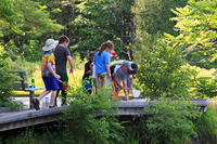 Berkshire campers ponding on the boardwalk
