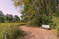 Bench on meadow trail in fall at Canoe Meadows Wildlife Sanctuary