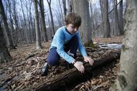 Boy checking under a log in winter woods at Pleasant Valley Wildlife Sanctuary