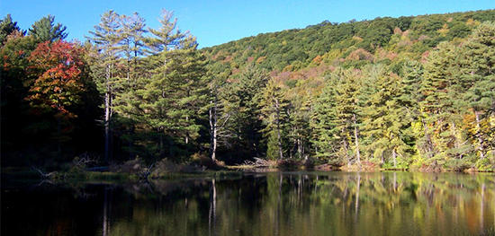 Pike’s Pond at Pleasant Valley Wildlife Sanctuary in autumn